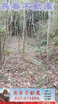 苗栗銅鑼農地_山坡地_休閒地-6