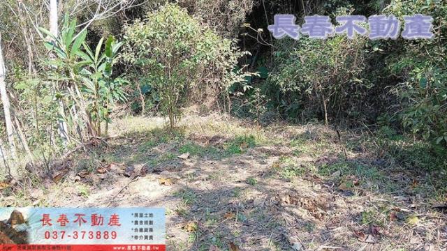 苗栗銅鑼農地_山坡地_休閒地-1