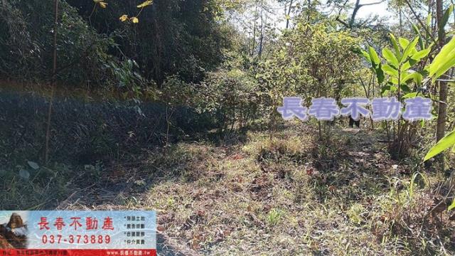 苗栗銅鑼農地_山坡地_休閒地-2