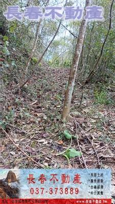 苗栗銅鑼農地_山坡地_休閒地-4