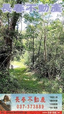苗栗銅鑼農地_山坡地_休閒地-5