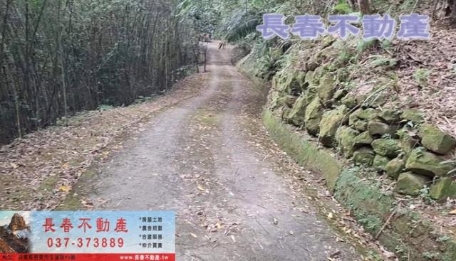 苗栗銅鑼農地_山坡地_休閒地-6