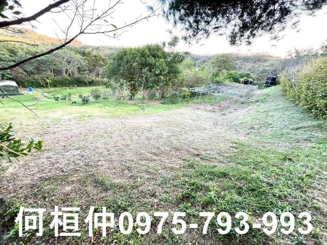 頭份農地-2