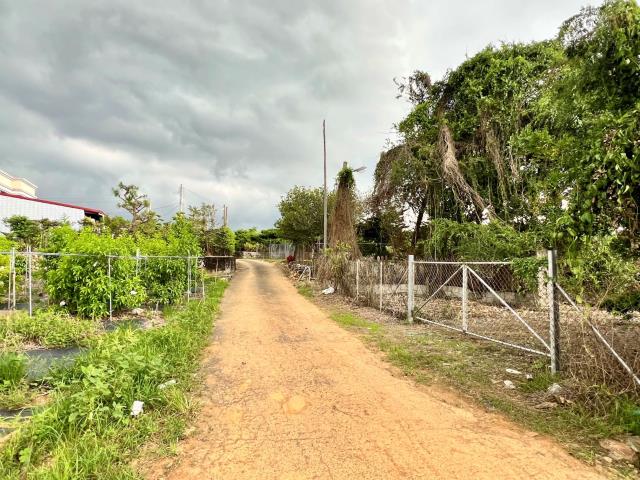 名間農地_休閒地-8