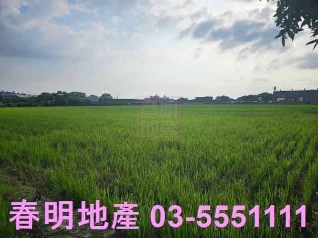 東區農地-5