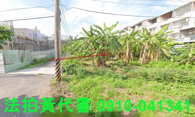 善化法拍建地_住宅地-4