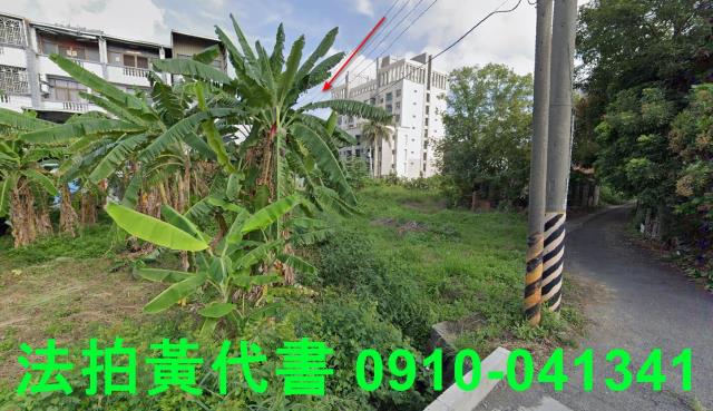 善化法拍建地_住宅地-6