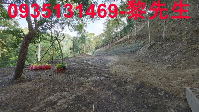 北埔農地-10