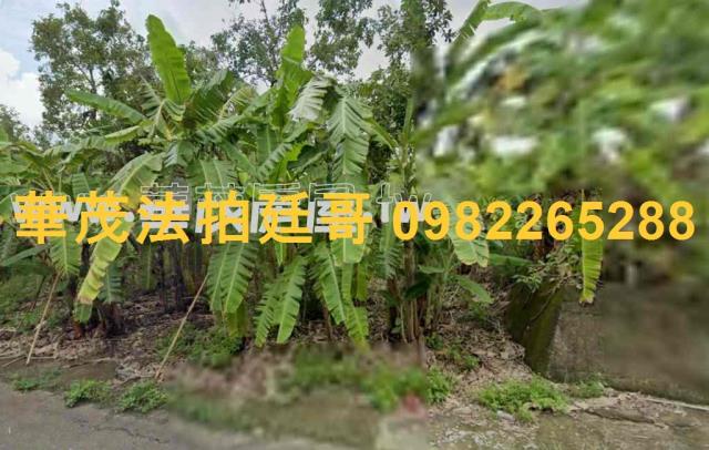 台南南化農地法拍-1
