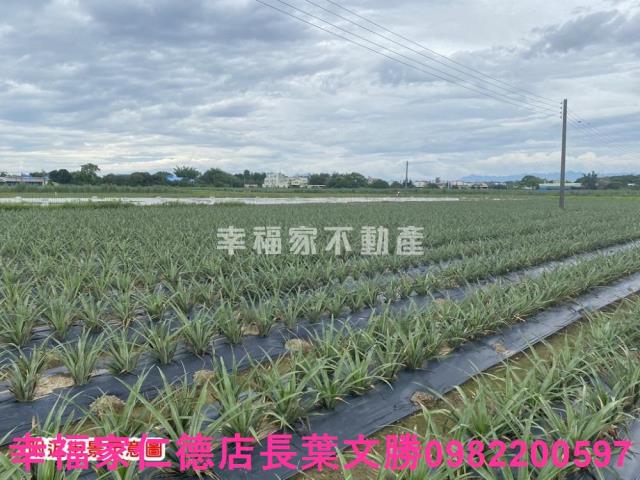 台南農地-9