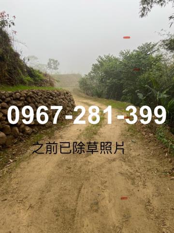 峨眉農地_山坡地_林地-6
