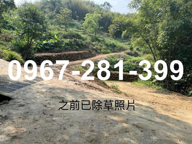 峨眉農地_山坡地_林地-7