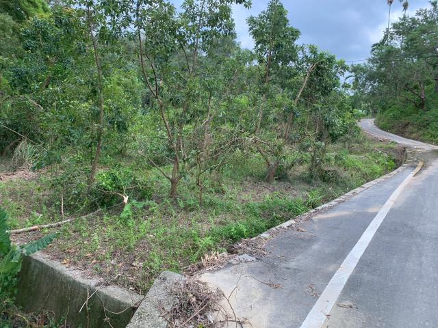 嘉義竹崎農地_山坡地-5