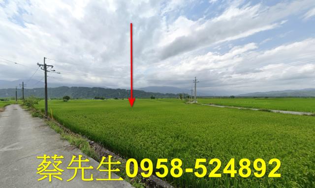 花蓮玉里拍賣農地-14