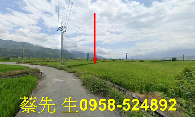 花蓮玉里拍賣農地-5