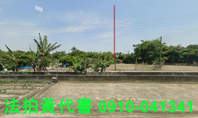 水林農地_建地法拍-1