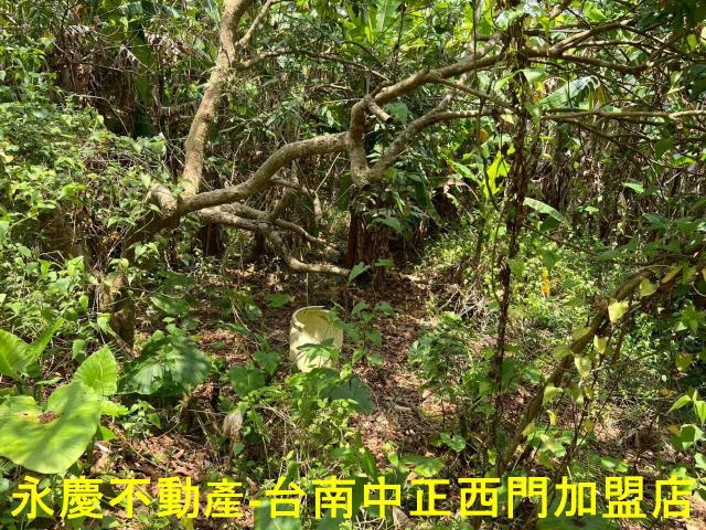 台南東山農地-8