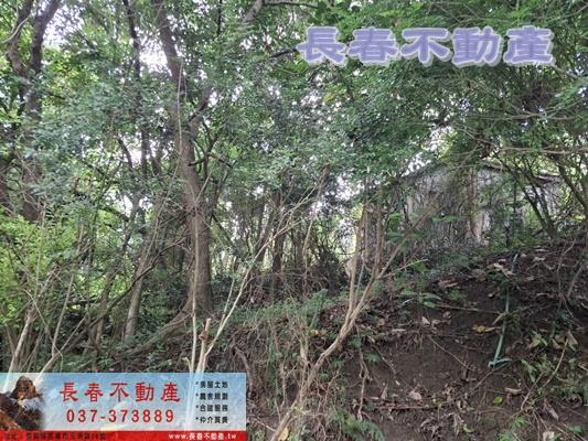 苗栗頭屋農地_建地_山坡地-2