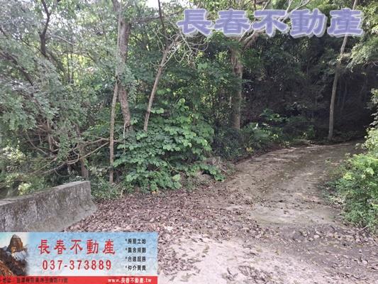 苗栗頭屋農地_建地_山坡地-4