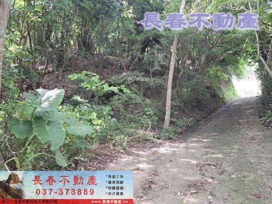 苗栗頭屋農地_建地_山坡地-5