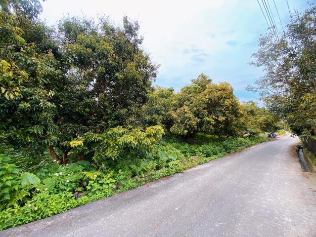 南投市農地_休閒地-2