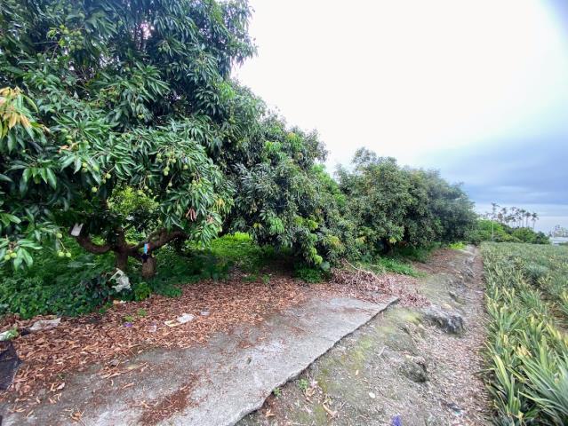 南投市農地_休閒地-5