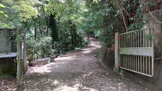 新竹休閒地_林地-14