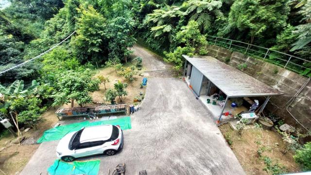 新竹休閒地_林地-4
