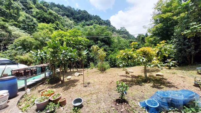 新竹休閒地_林地-5