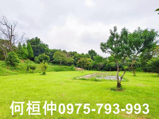 苗栗苗栗市農地-1