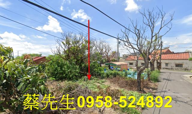 嘉義義竹建地拍賣-13