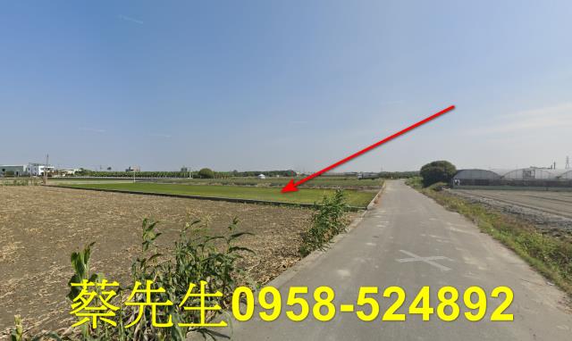 虎尾法拍農地-13