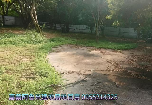 番路農地-2