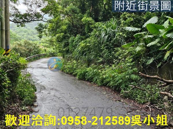 南庄山坡地_休閒地-10