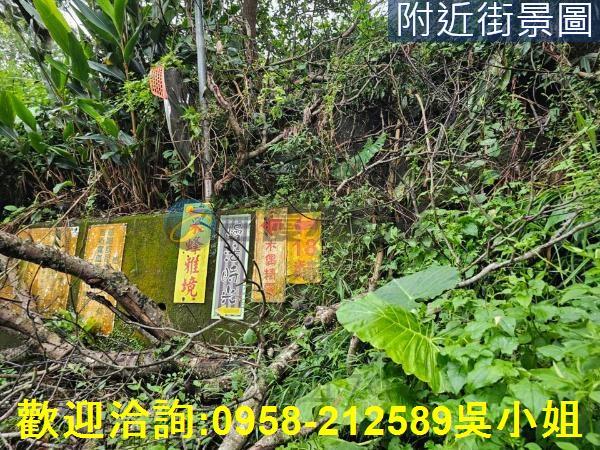 南庄山坡地_休閒地-12