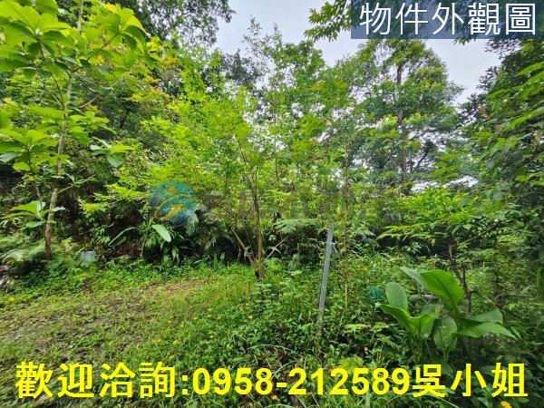 南庄山坡地_休閒地-2