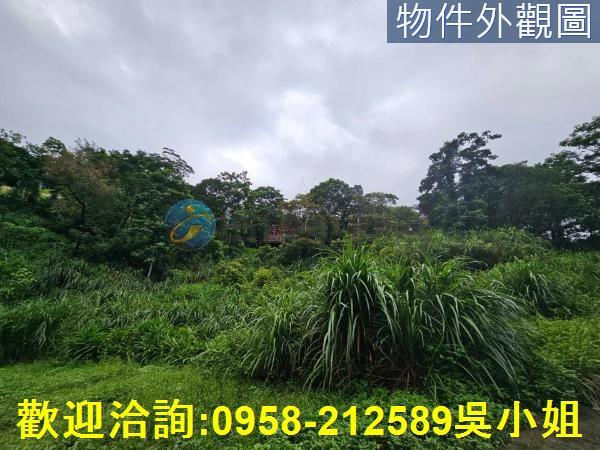 南庄山坡地_休閒地-3
