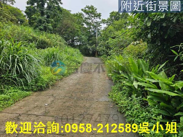 南庄山坡地_休閒地-7