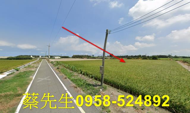 台西農地法拍-14