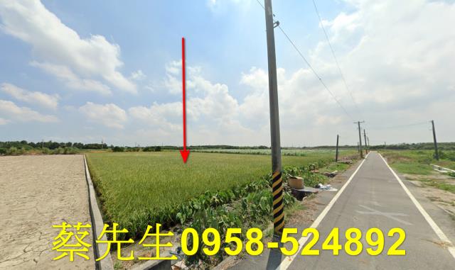 台西農地法拍-4