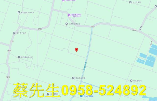 台西農地法拍-8