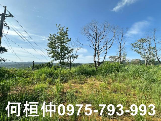 新竹新埔農地_休閒地-2
