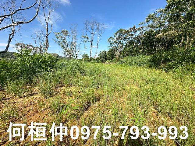 新竹新埔農地_休閒地-3
