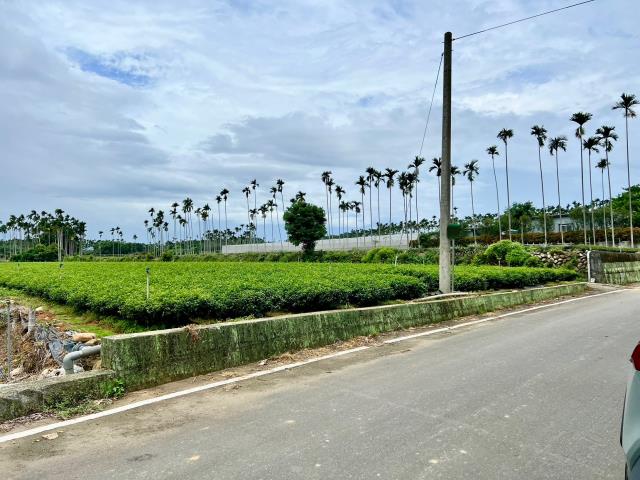 南投名間農地_休閒地-8