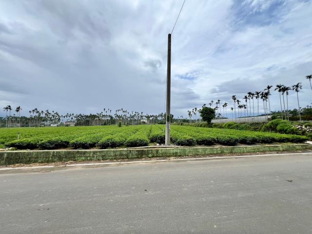 南投名間農地_休閒地-9