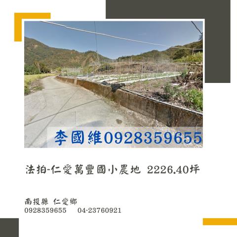 仁愛鄉農地法拍-1