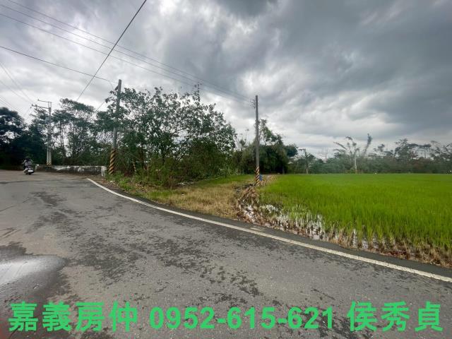 東區農地_建地-3