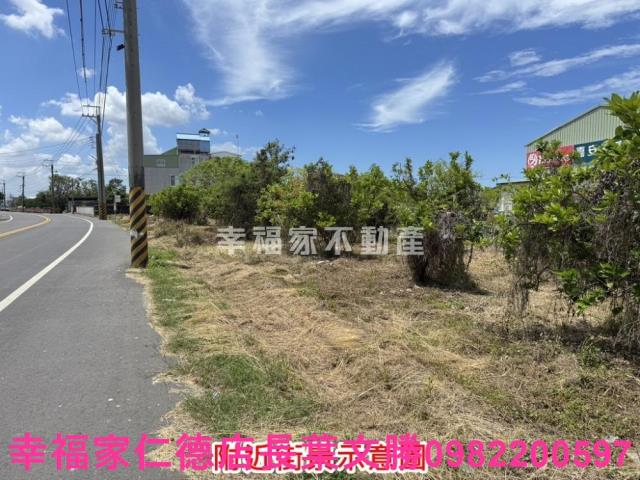 麻豆農地_建地-3