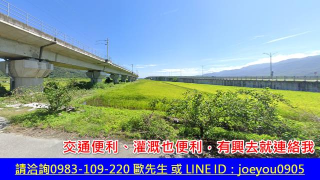 玉里農地法拍-3