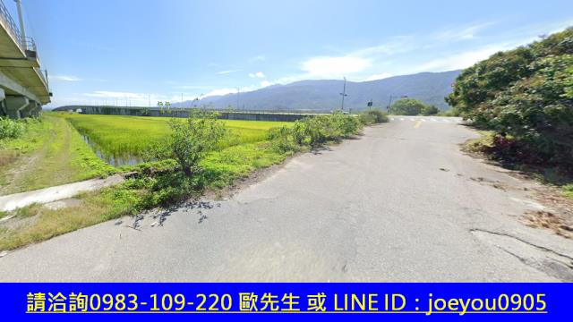 玉里農地法拍-6